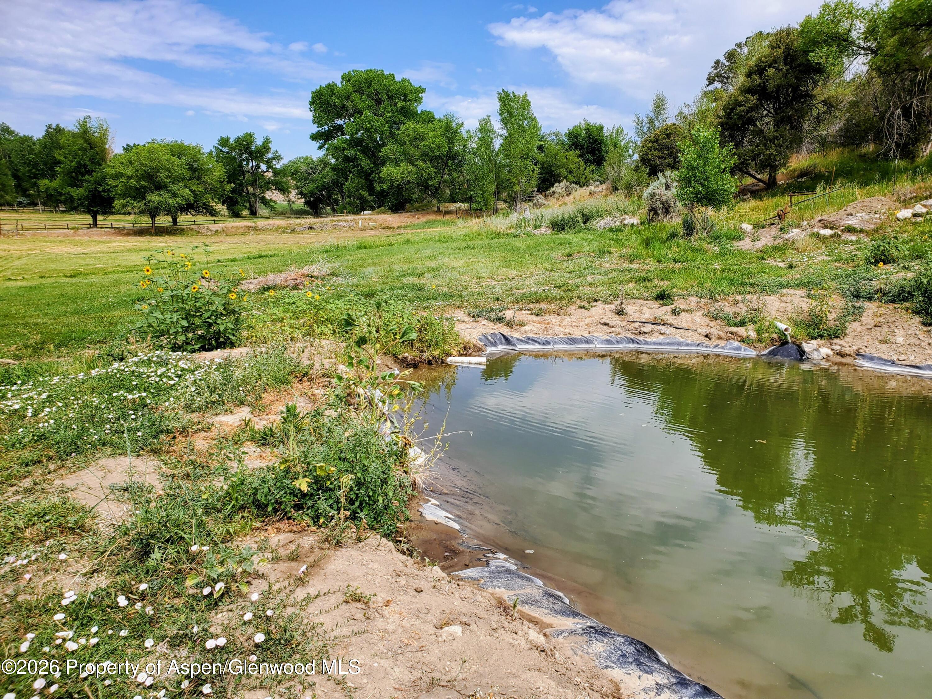 4243 Peach Valley Road Silt, CO 81652 - Photo 49 of 55 pond 1 - Copy