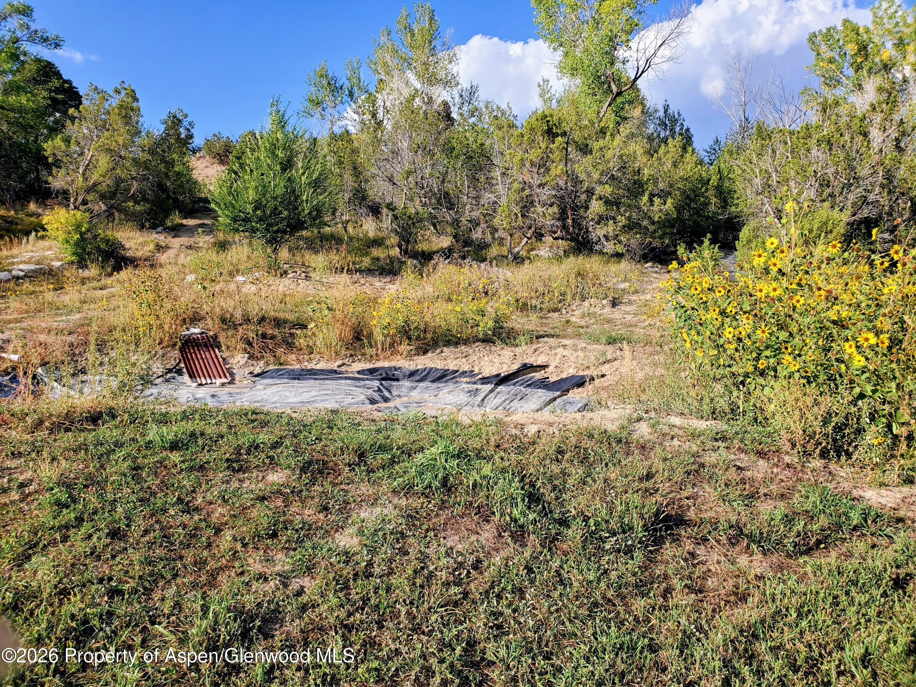 4243 Peach Valley Road Silt, CO 81652 - Photo 50 of 55 pond 3