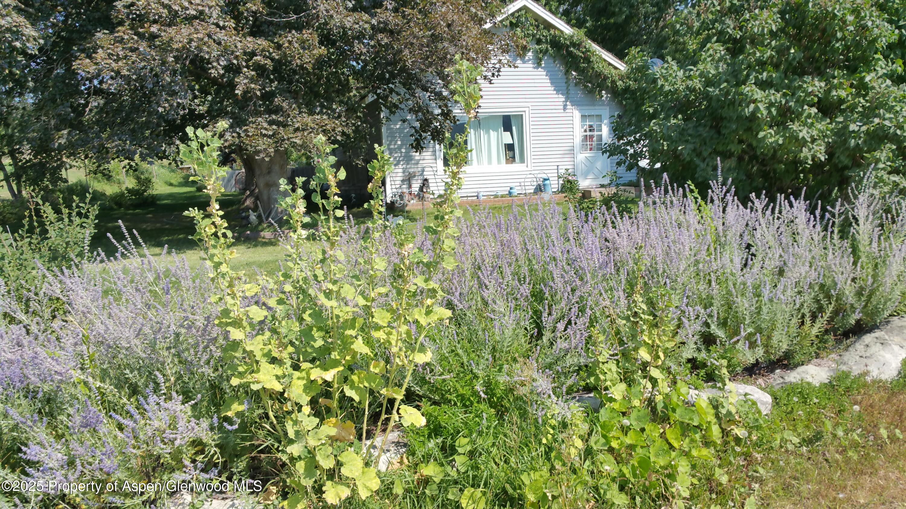 4243 Peach Valley Road Silt, CO 81652 - Photo 5 of 55 20170904_112156