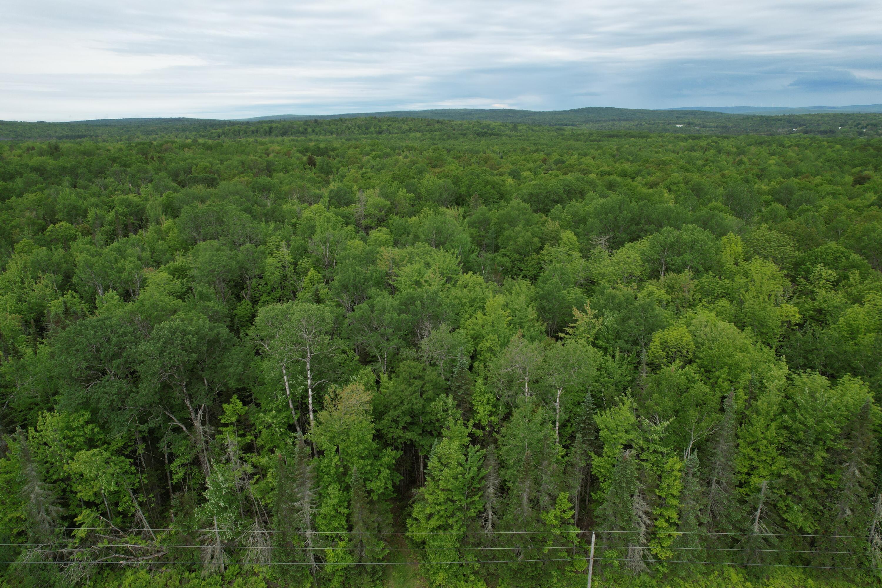 Lot 12-1 North Dexter Road Parkman, ME 04443 - Photo 10 of 10 6F777CDF-1EE1-4539-811D-9C9353F27EC2