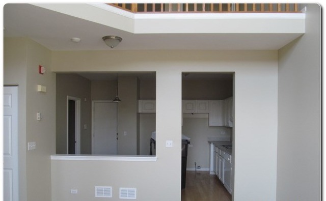 11-s469 11-s469 Rachael Court Lemont, IL 60439 - Photo 4 of 13