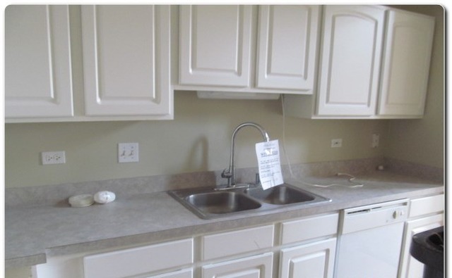 11-s469 11-s469 Rachael Court Lemont, IL 60439 - Photo 5 of 13
