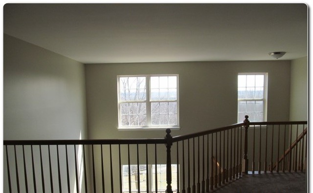 11-s469 11-s469 Rachael Court Lemont, IL 60439 - Photo 6 of 13