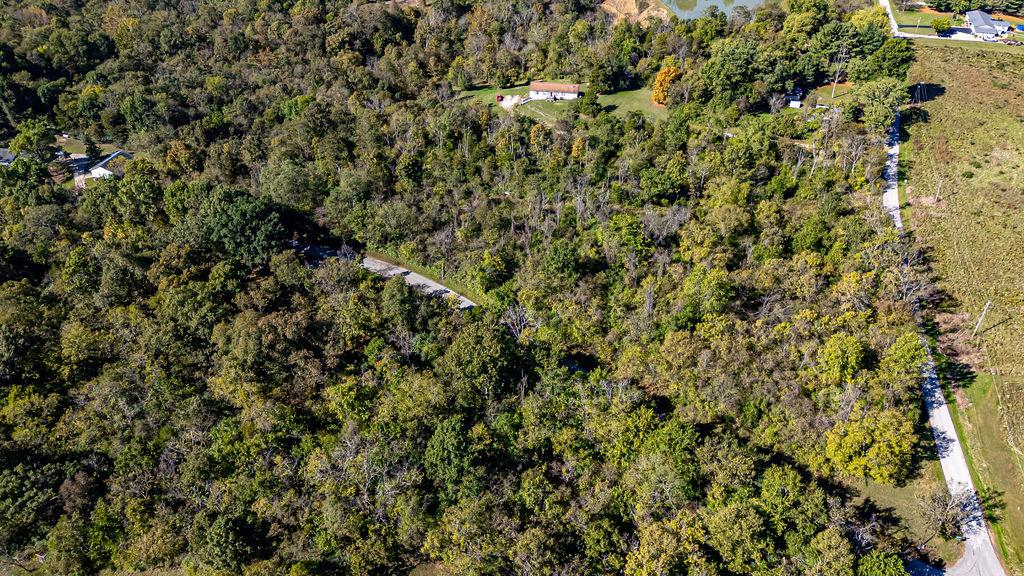 0 Hueseman Road Aurora, IN 47001 - Photo 5 of 13