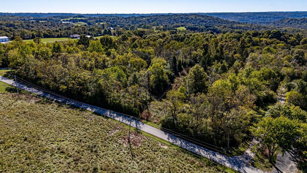 0 Hueseman Road Aurora, IN 47001 - Photo 6 of 13