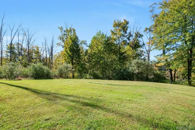 a view of a green field