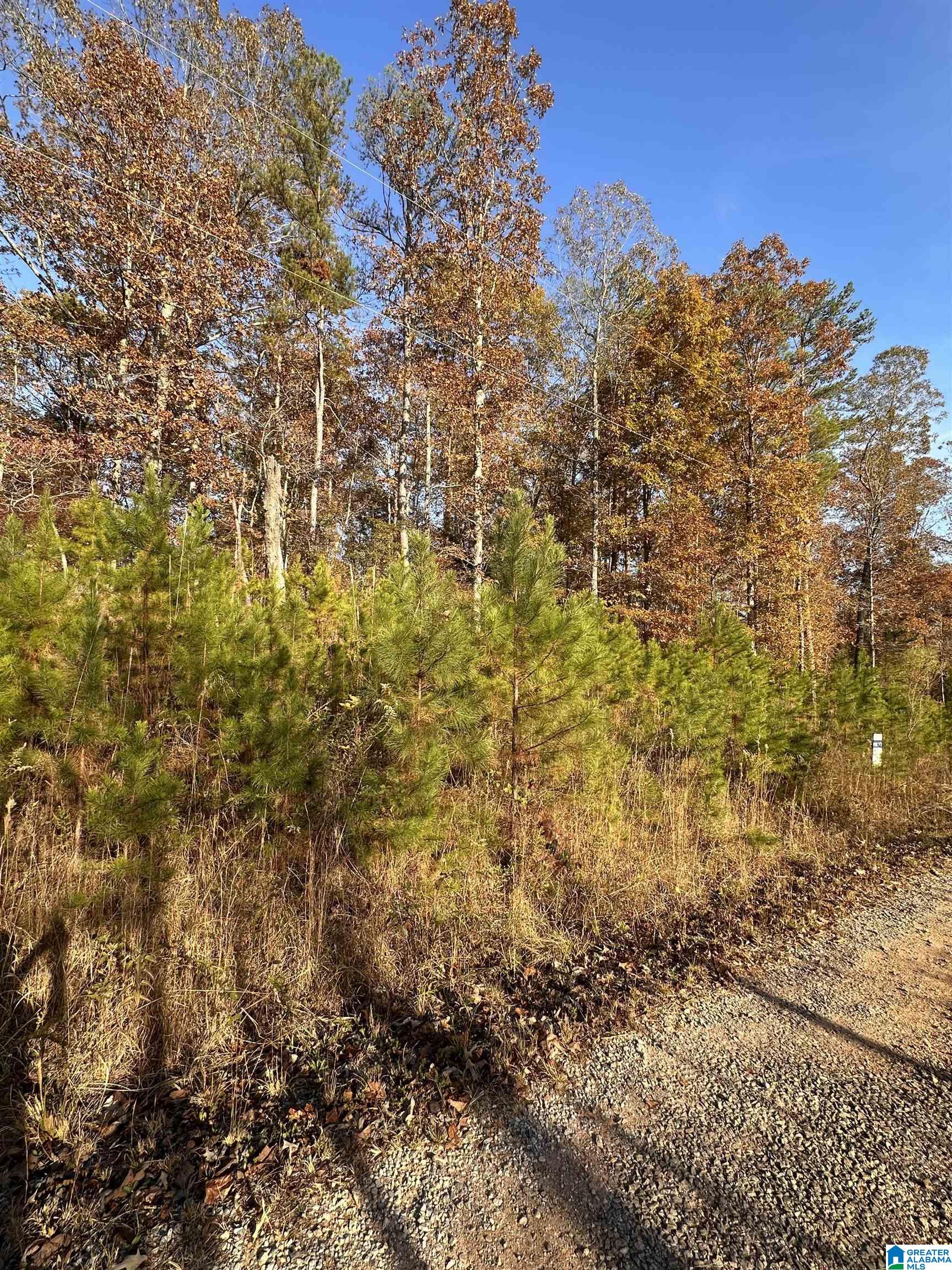 0 Harbour Point Drive, Unit 29 Delta, AL 36258 - Photo 2 of 4