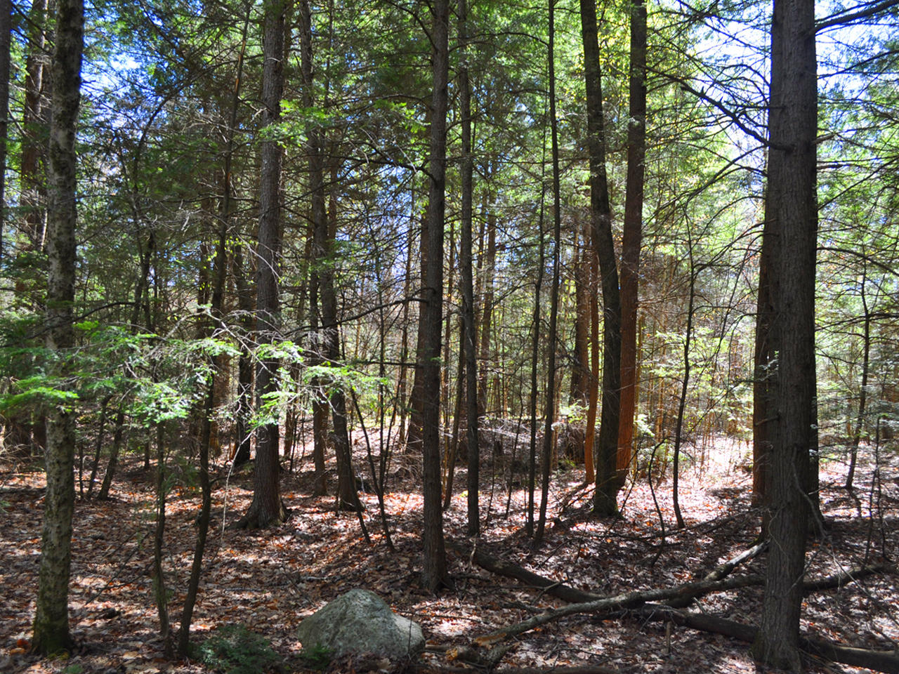 39 Baldwin Road Nobleboro, ME 04555 - Photo 30 of 34 Back Lot 2 1280