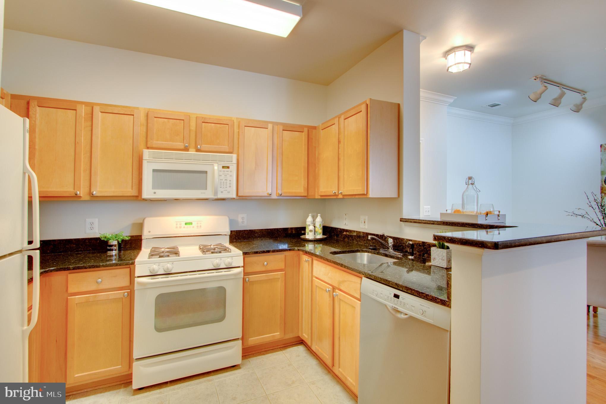 12000 Market Street, Unit 241 Reston, VA 20190 - Photo 7 of 43 Kitchen