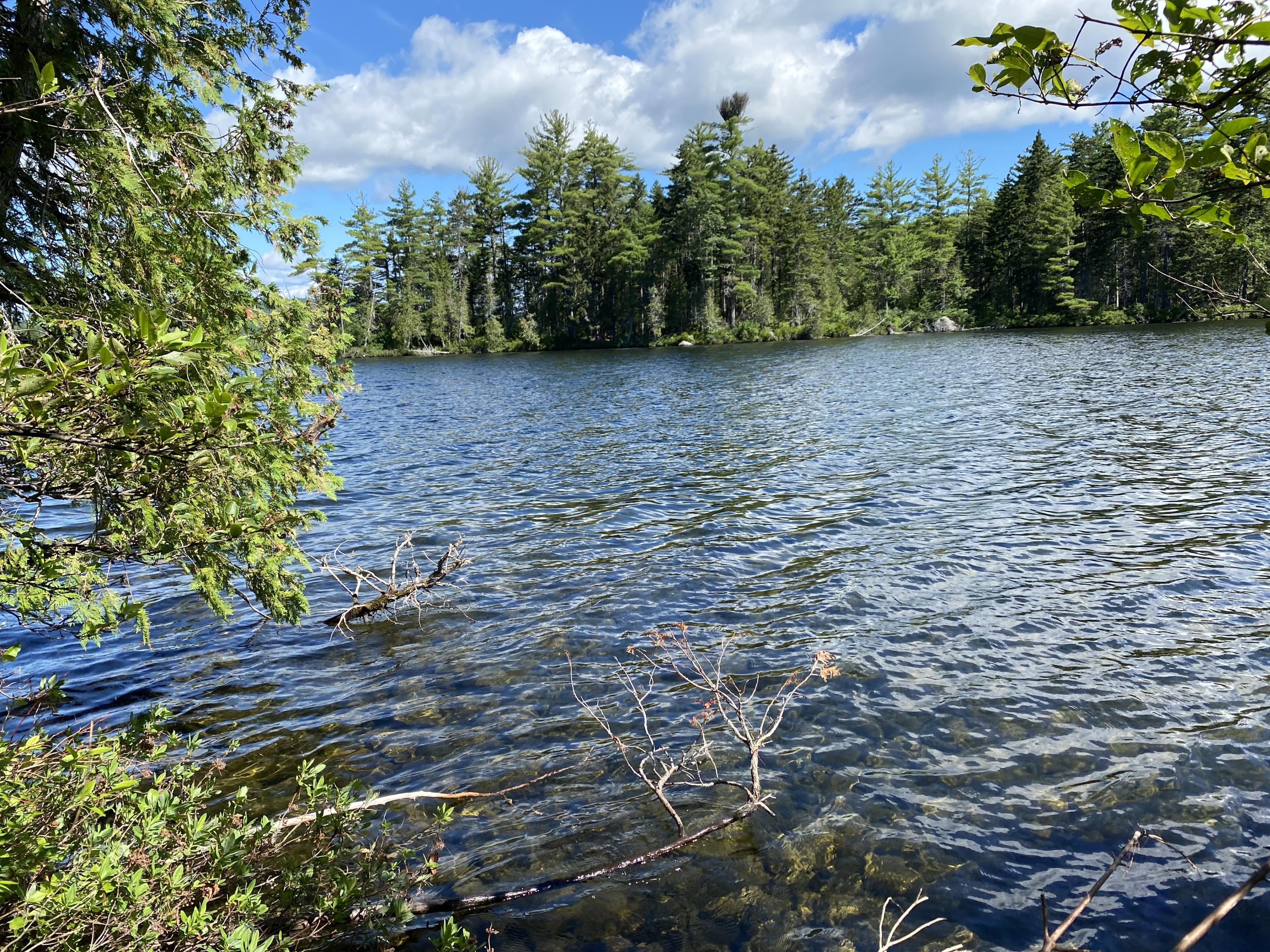 Lot 1 Off North Shore Rd Lake View Brownville, ME 04414 - Photo 5 of 9 IMG_0875