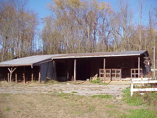 Gallery Image 6