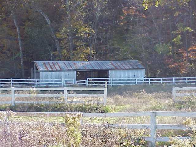 Gallery Image 7