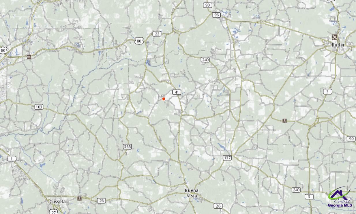 0 Pineknot Road Box Springs, GA 31801 - Photo 12 of 12