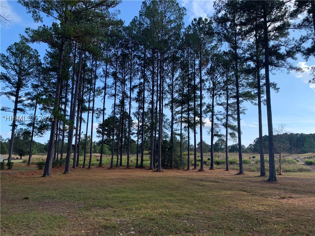 184 Good Hope Road Okatie, SC 29909 - Photo 1 of 1