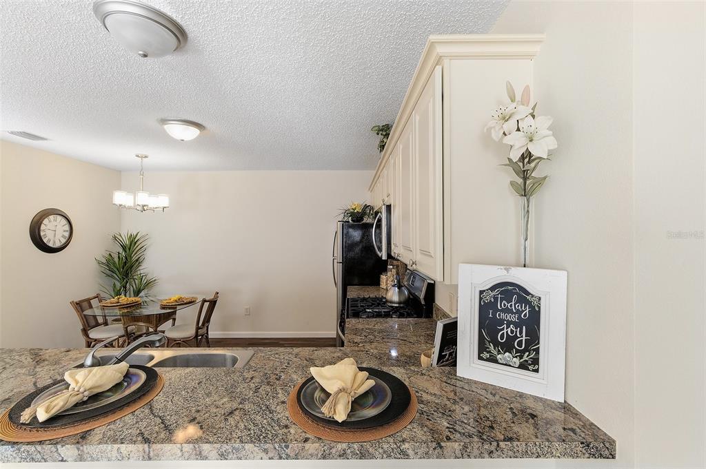 2343 Pine Ridge Street The Villages, FL 32162 - Photo 8 of 20