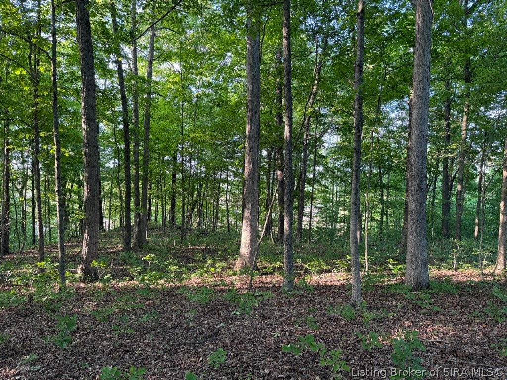 South Bloomington Trail Road Scottsburg, IN 47170 - Photo 12 of 36 Gallery Image 12