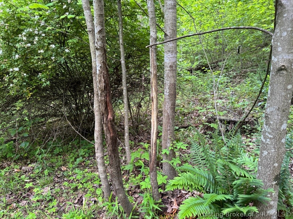South Bloomington Trail Road Scottsburg, IN 47170 - Photo 23 of 36 Gallery Image 23