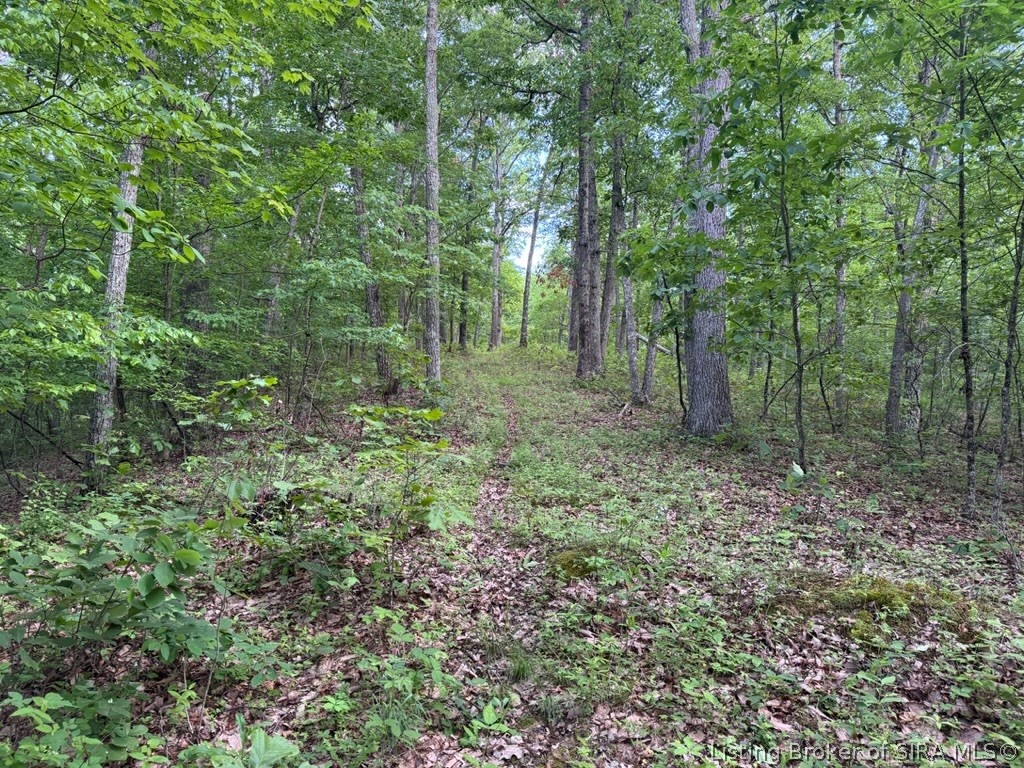 South Bloomington Trail Road Scottsburg, IN 47170 - Photo 27 of 36 Gallery Image 27