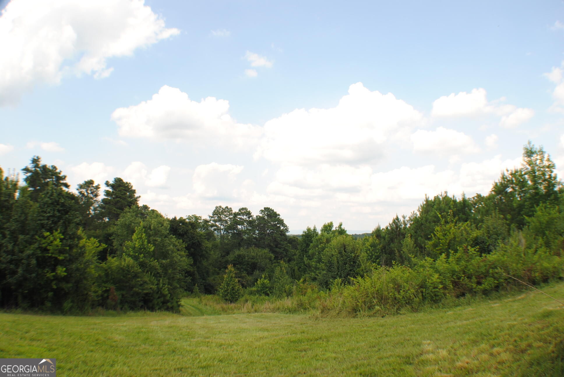 3602 Highway 41 Resaca, GA 30735 - Photo 8 of 12