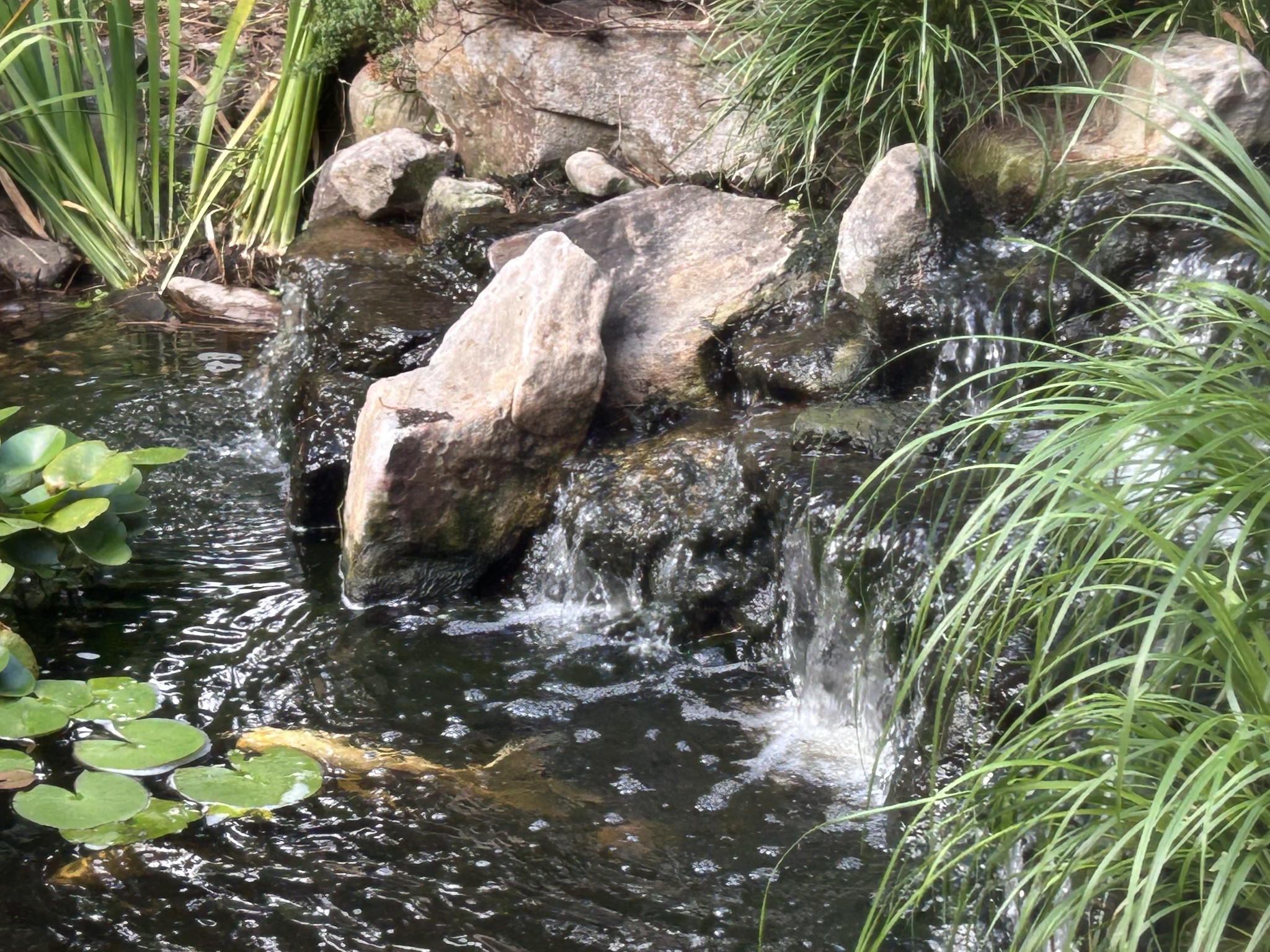 4020 Clovercroft Road Franklin, TN 37067 - Photo 24 of 63