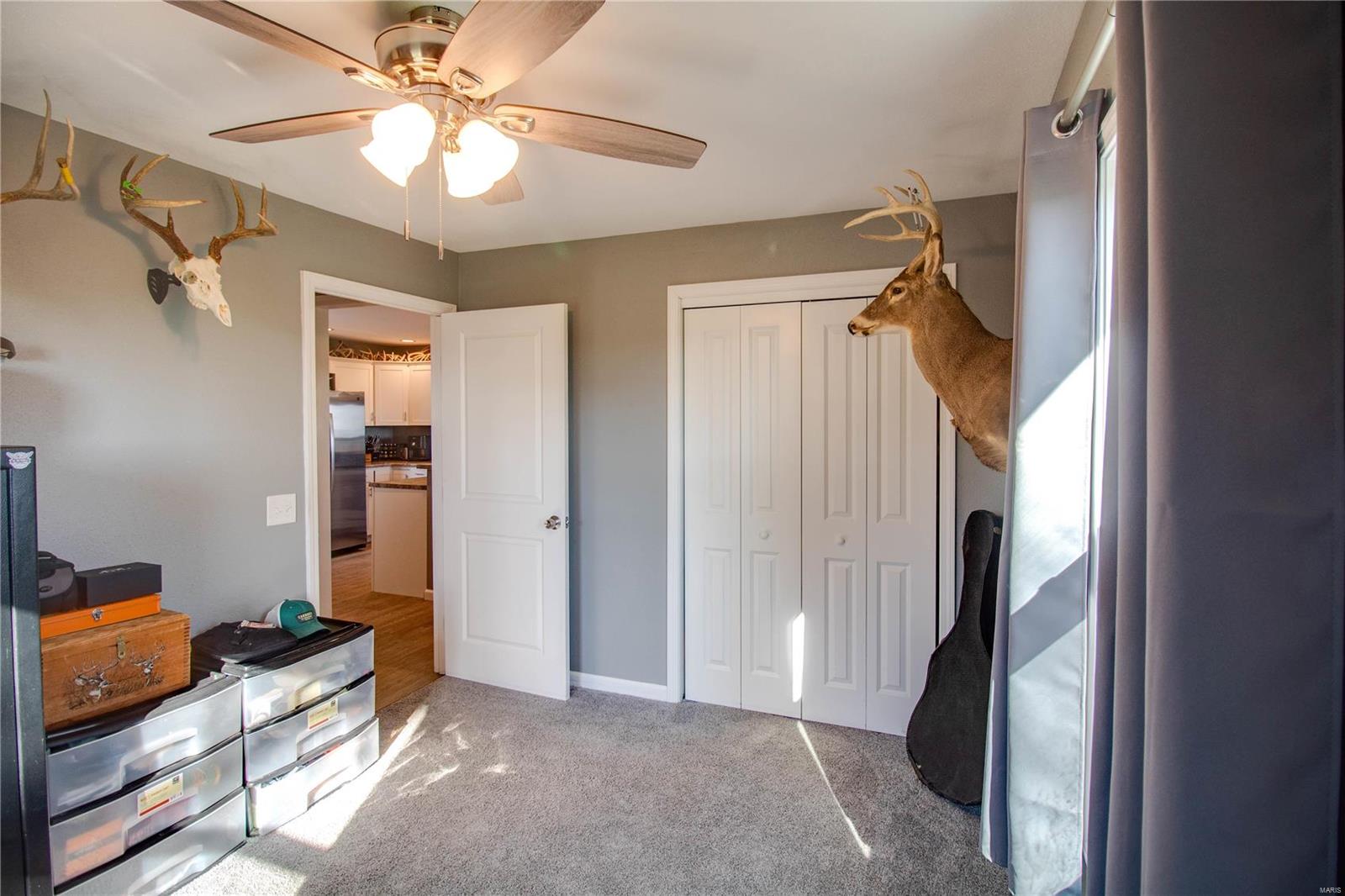 31232 Ingham Lane Brighton, IL 62012 - Photo 24 of 34