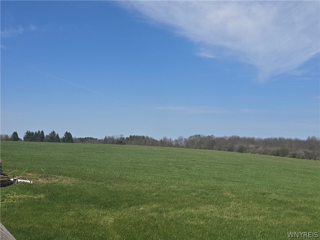 6700 Mt Monroe Road New Hudson, NY 14727 - Photo 12 of 40