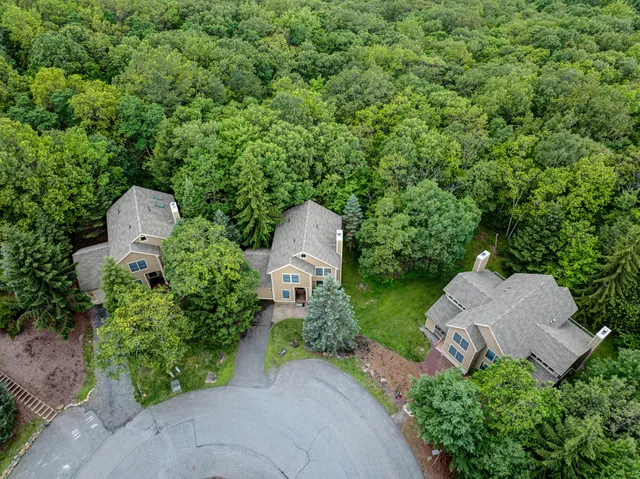 a view of a lush green field with lots of bushes