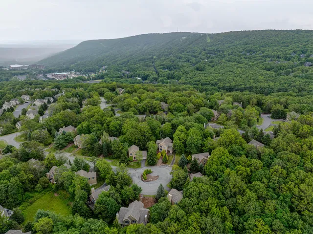 a view of a bunch of trees and bushes