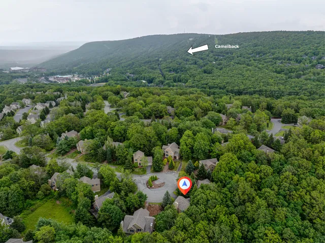 a view of a lush green forest with a house