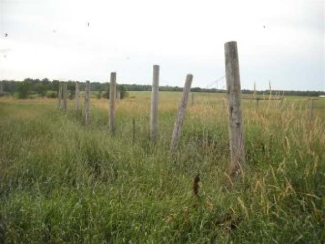 N5143 Lound Road Prentice, WI 54556 - Photo 13 of 19 Gallery Image 13