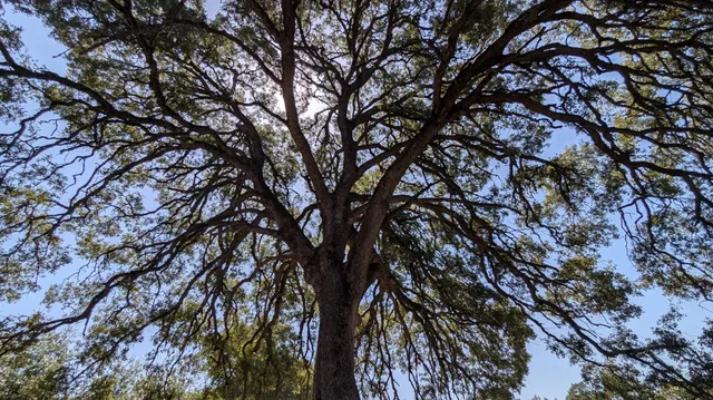 $1,600,000 | 4600 El Caminito Road, Shingle Springs, CA 95682