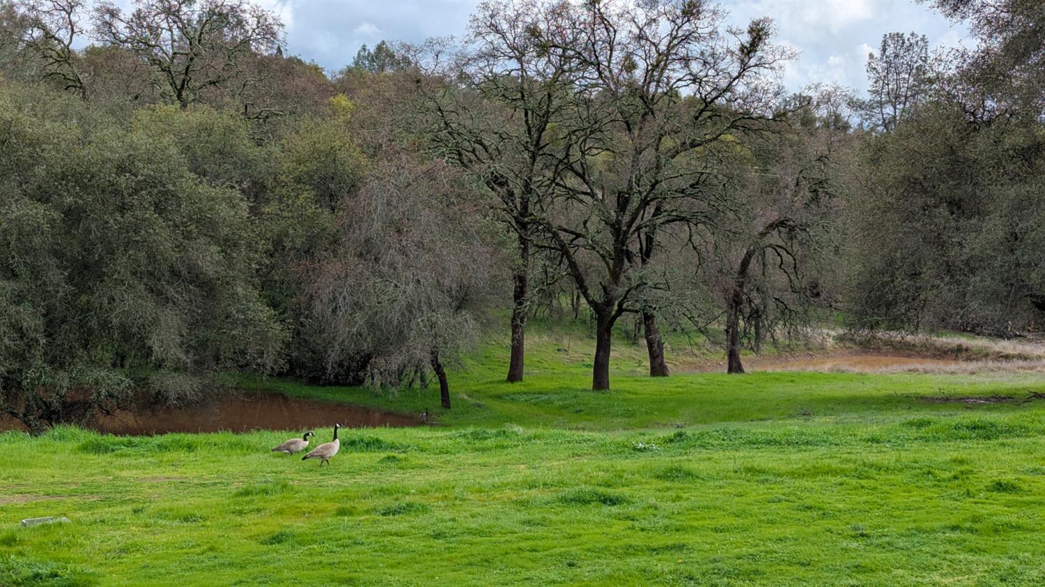 4600 El Caminito Road Shingle Springs, CA 95682 - Photo 59 of 76
