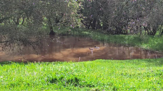 $1,600,000 | 4600 El Caminito Road, Shingle Springs, CA 95682