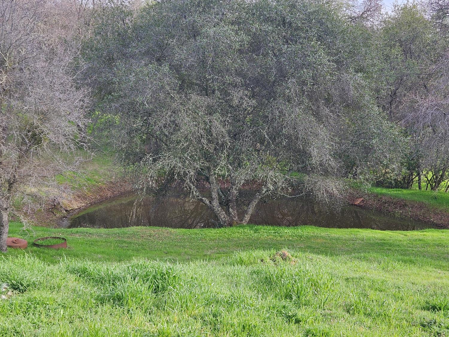 4600 El Caminito Road Shingle Springs, CA 95682 - Photo 62 of 76 a view of outdoor space