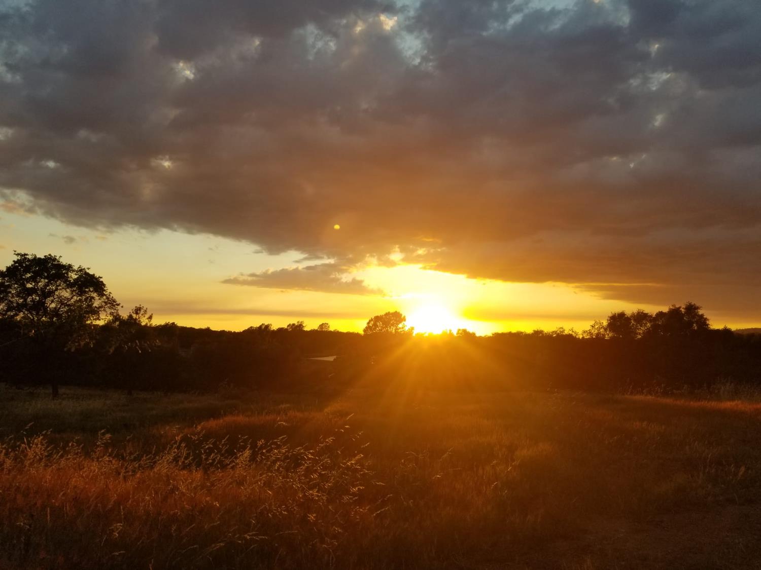 4600 El Caminito Road Shingle Springs, CA 95682 - Photo 63 of 76