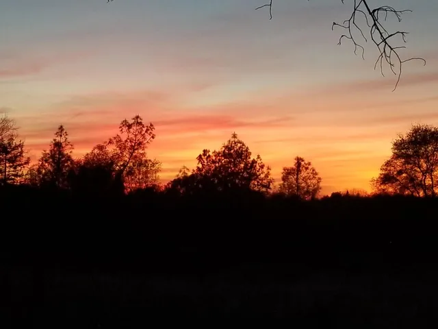 $1,600,000 | 4600 El Caminito Road, Shingle Springs, CA 95682