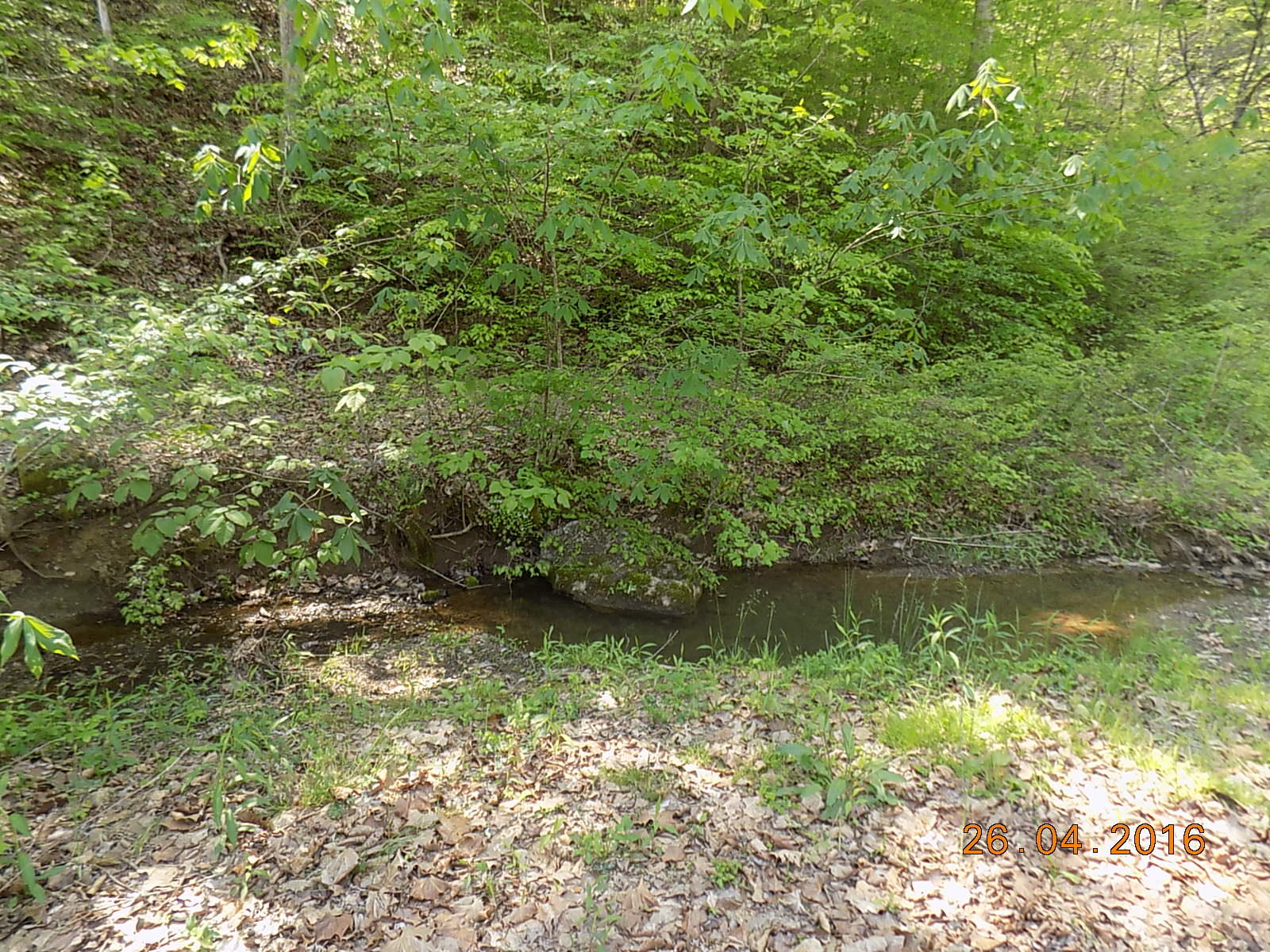 146 Little Valley Road Maynardville, TN 37807 - Photo 2 of 36 DSCN3919