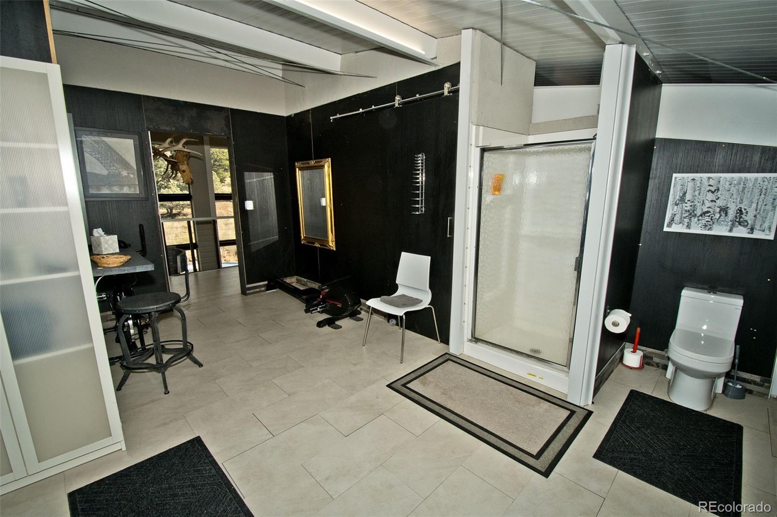 5 North Baca Grant Way Crestone, CO 81131 - Photo 36 of 42 a room with furniture a mirror and gym equipment