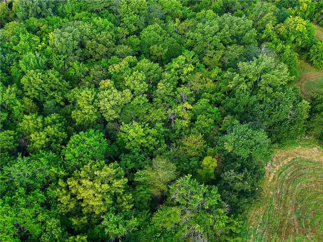 $210,000 | O Highway, Blairstown, MO 64726