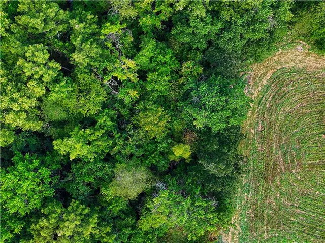 $210,000 | O Highway, Blairstown, MO 64726