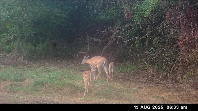 $210,000 | O Highway, Blairstown, MO 64726