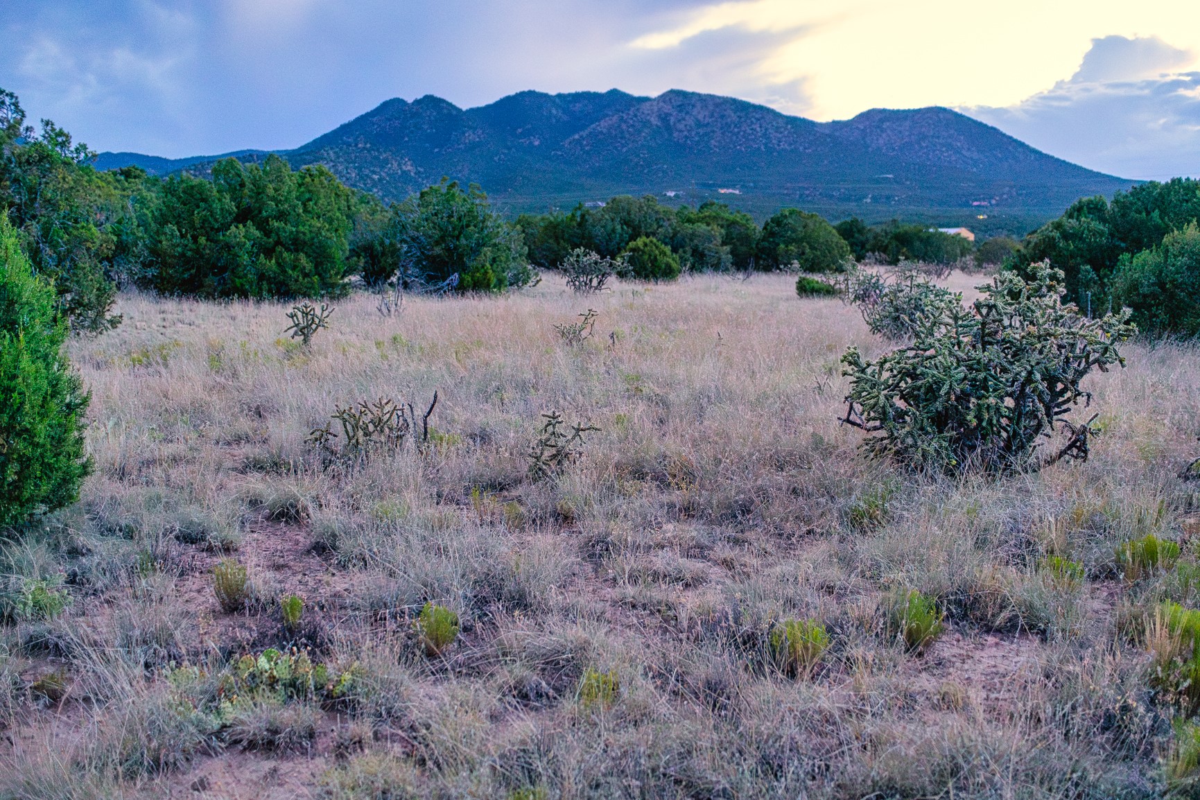 509 Gold Mine Road Cerrillos, NM 87010 - Photo 3 of 20