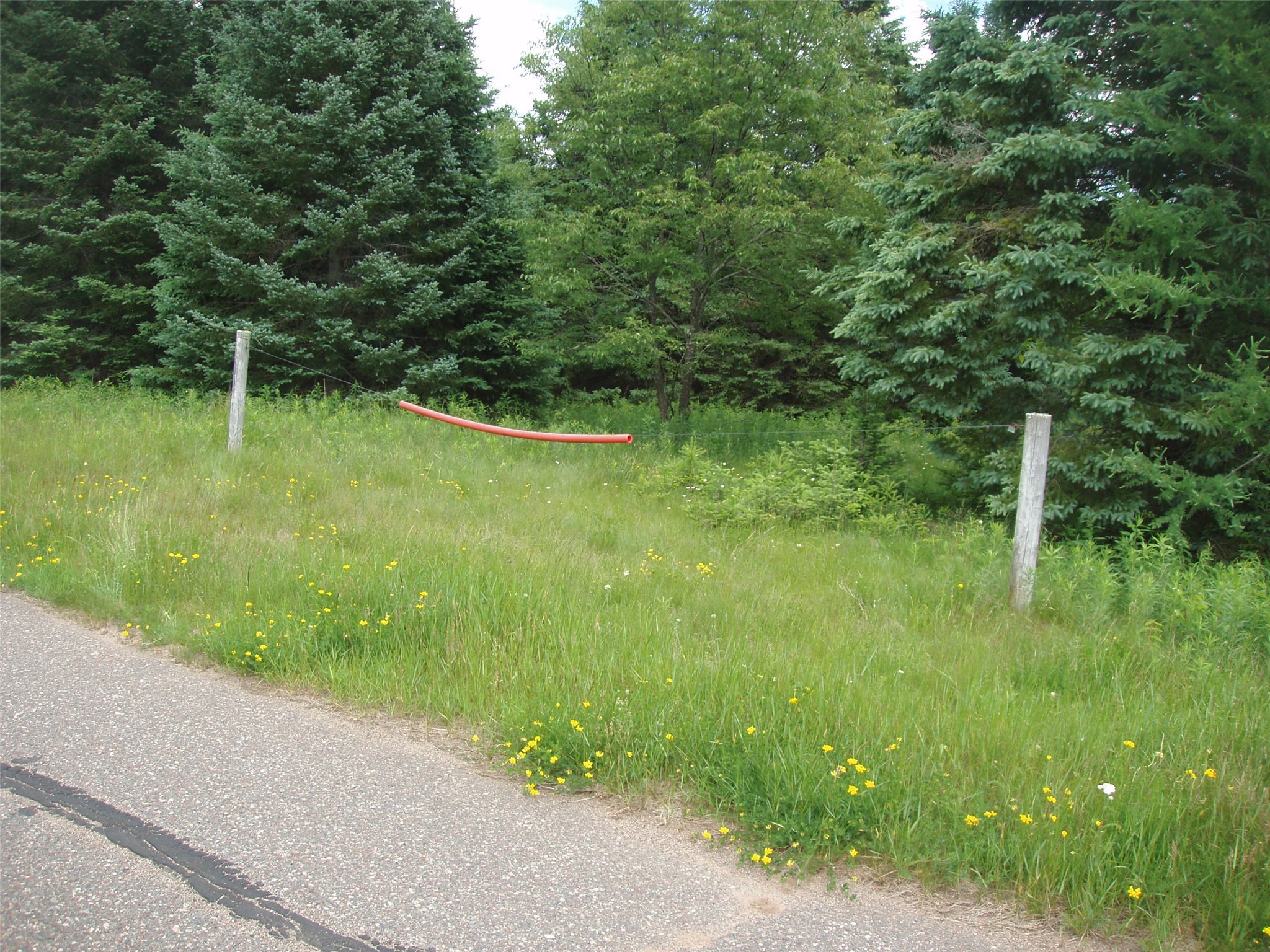 N16798 Bass Lake Road Butternut, WI 54514 - Photo 42 of 52
