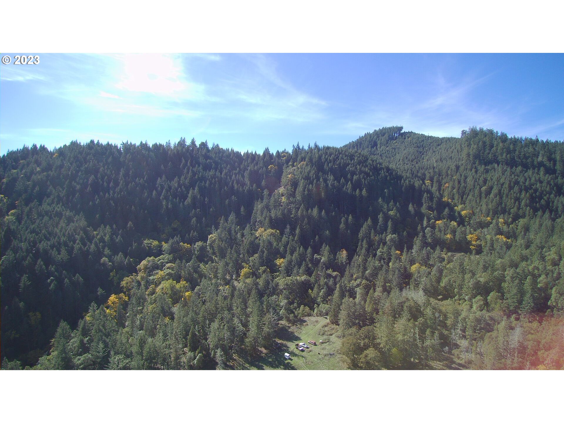 0 Bilger Creek Road Roseburg, OR 97470 - Photo 6 of 14 a black and white photo of a forest