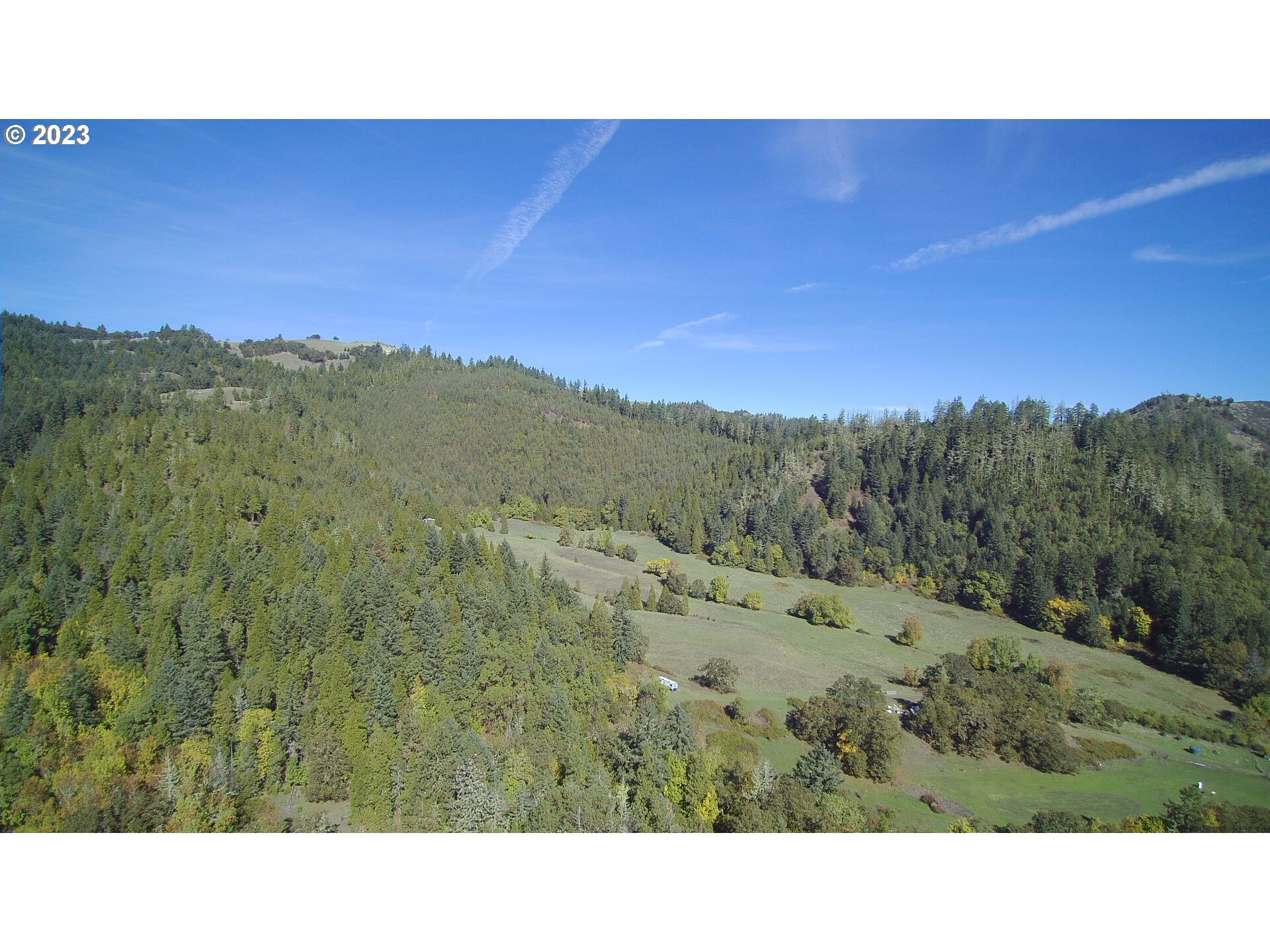 0 Bilger Creek Road Roseburg, OR 97470 - Photo 7 of 14 a black and white photo of a forest