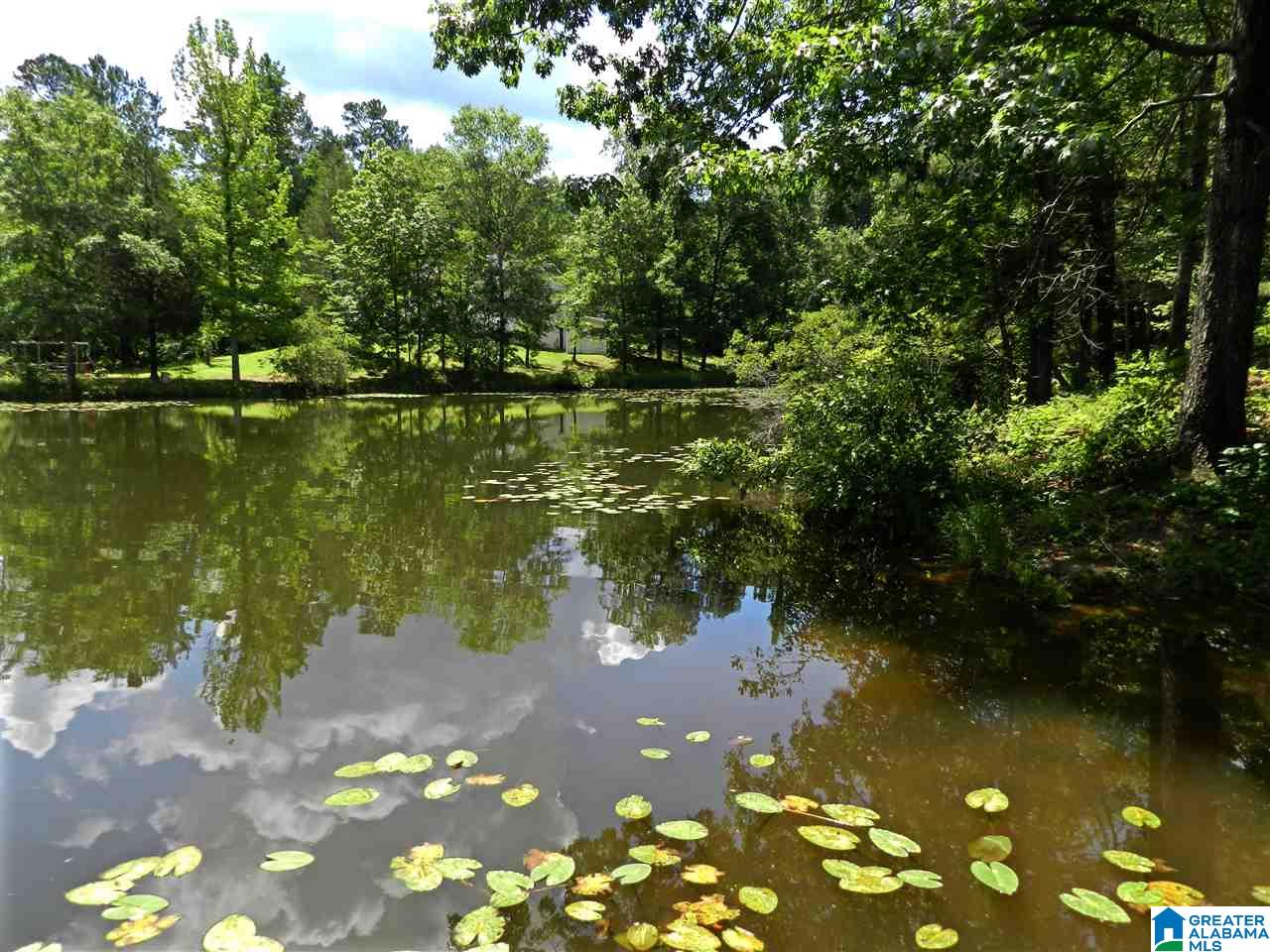 170 Mockingbird Lane Sterrett, AL 35147 - Photo 25 of 27