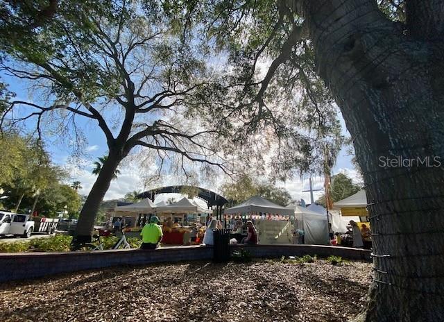 459 Main Street, Unit B Dunedin, FL 34698 - Photo 27 of 29