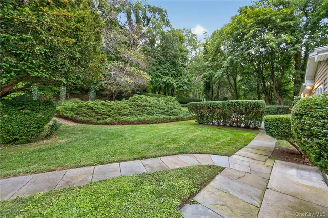 a view of a yard with plants and large trees