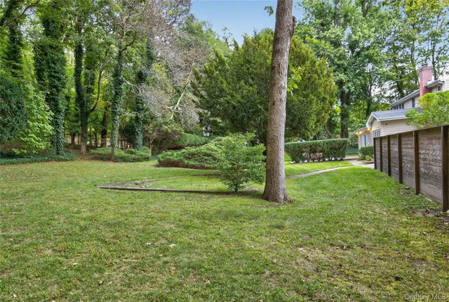 a view of a park with a large trees