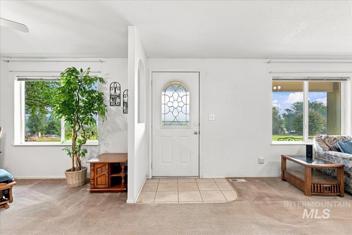 310 Frontage Road Grand View, ID 83624 - Photo 3 of 38 Entryway featuring a decorative glass panel door, light-toned flooring, and an arched wall opening